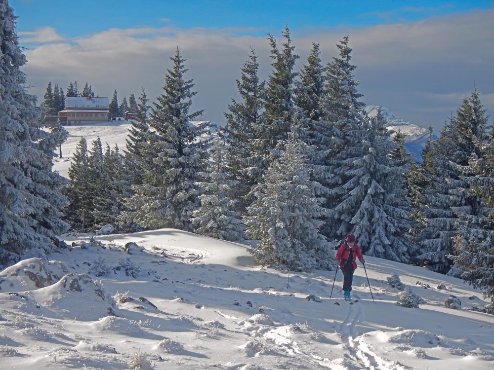 Tirolerkogel (60 Bildaufrufe)