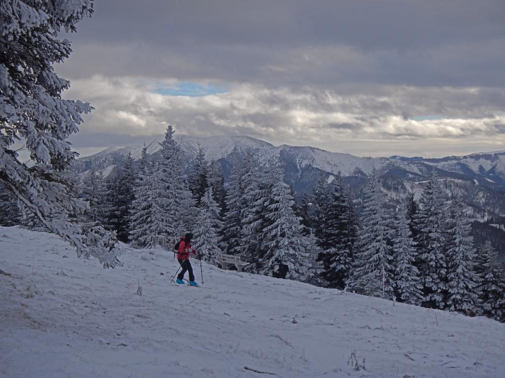 Tirolerkogel (68 Bildaufrufe)