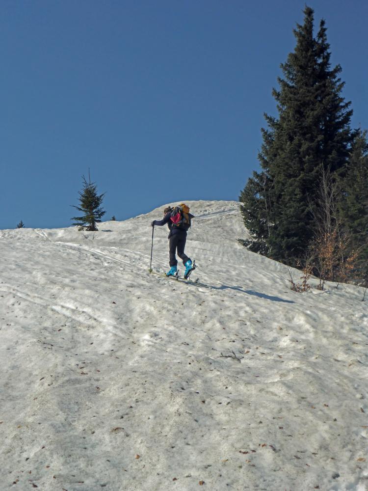 Kl.Ötscher (76 Bildaufrufe)