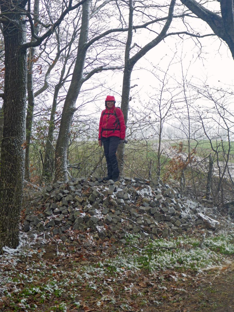 Kuhberg (58 Bildaufrufe)