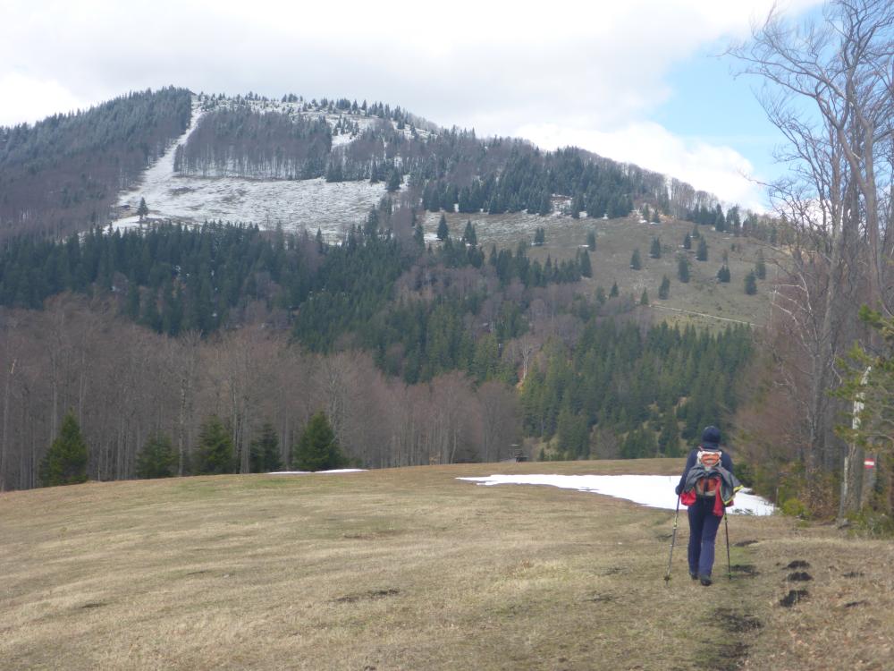Türnitzer Höger (80 Bildaufrufe)