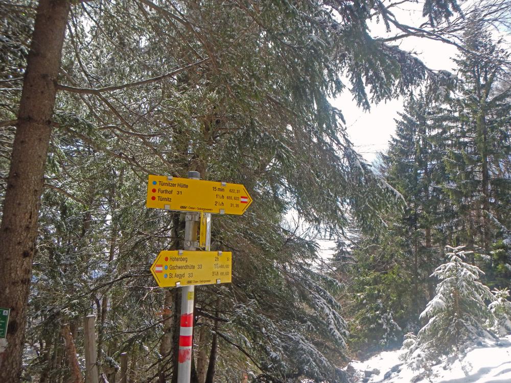 Türnitzer Höger (77 Bildaufrufe)