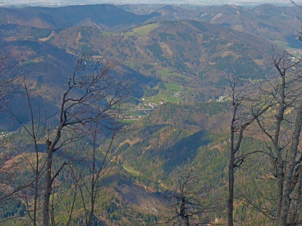 Türnitzer Höger (79 Bildaufrufe)