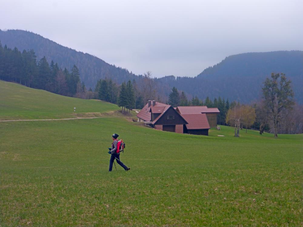Eisenstein (75 Bildaufrufe)