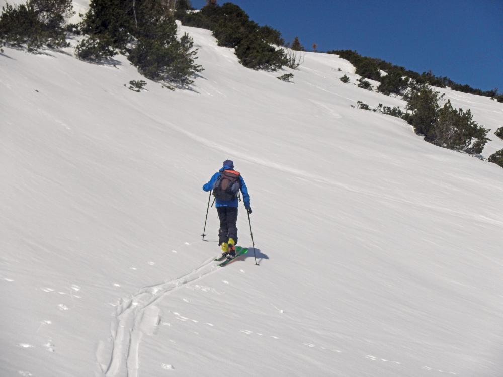 Hochkar (99 Bildaufrufe)
