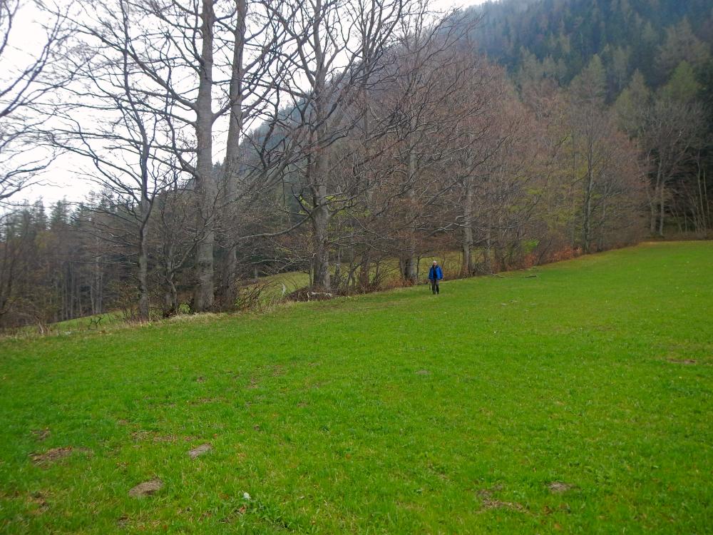 Hoher Stein (61 Bildaufrufe)
