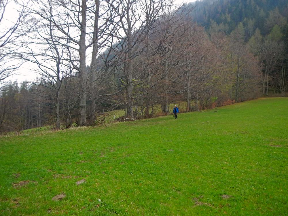 Hoher Stein (52 Bildaufrufe)