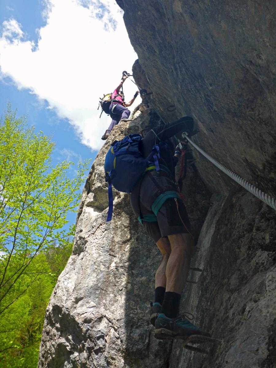 Falkenstein (97 Bildaufrufe)