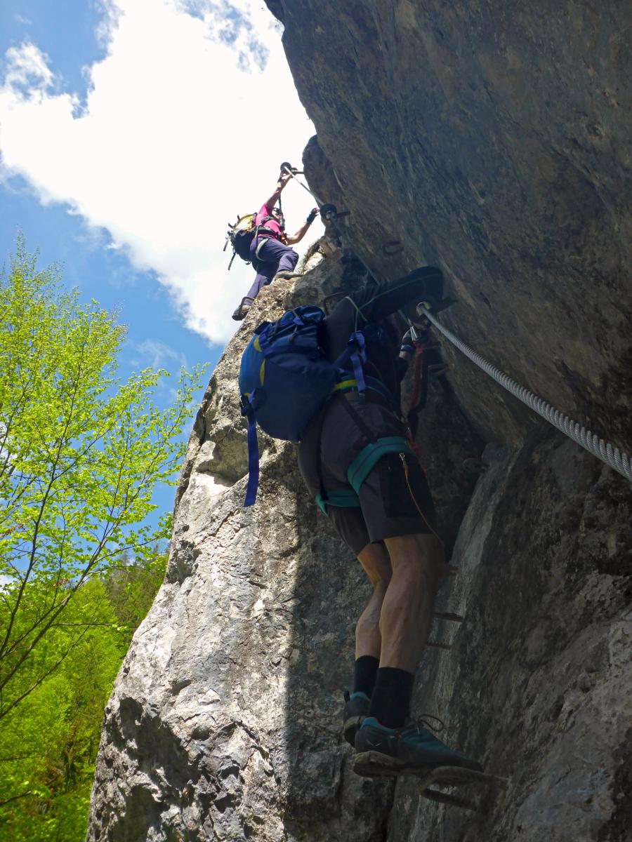 Falkenstein (90 Bildaufrufe)