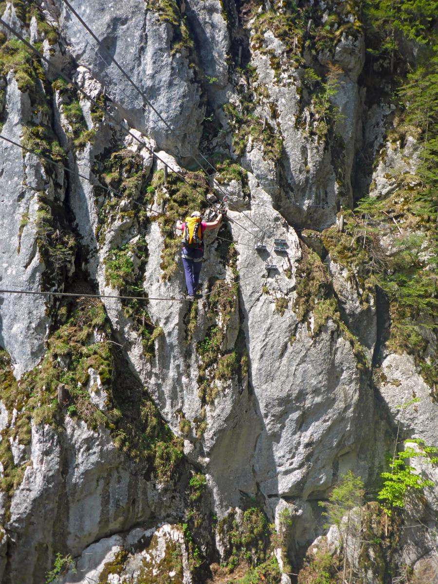 Falkenstein (74 Bildaufrufe)