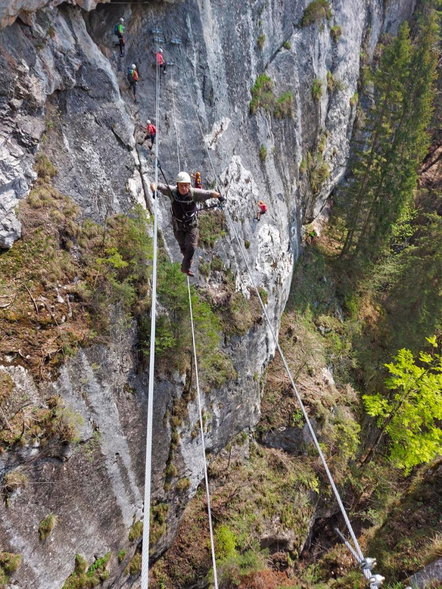 Falkenstein (81 Bildaufrufe)