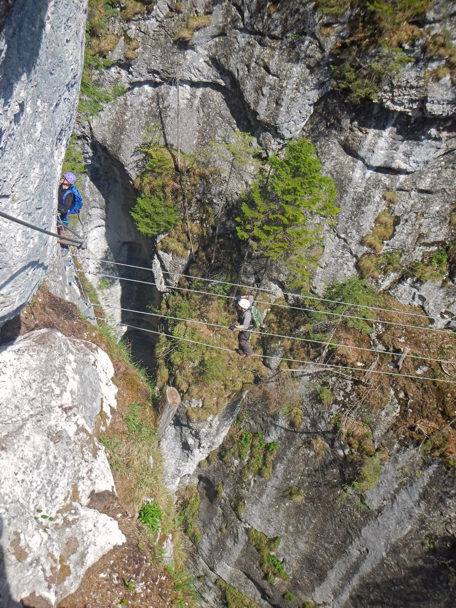 Falkenstein (85 Bildaufrufe)