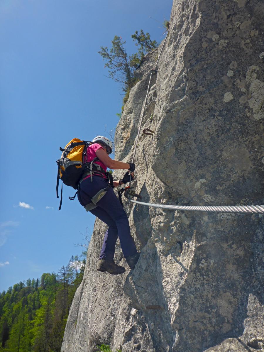 Falkenstein (75 Bildaufrufe)