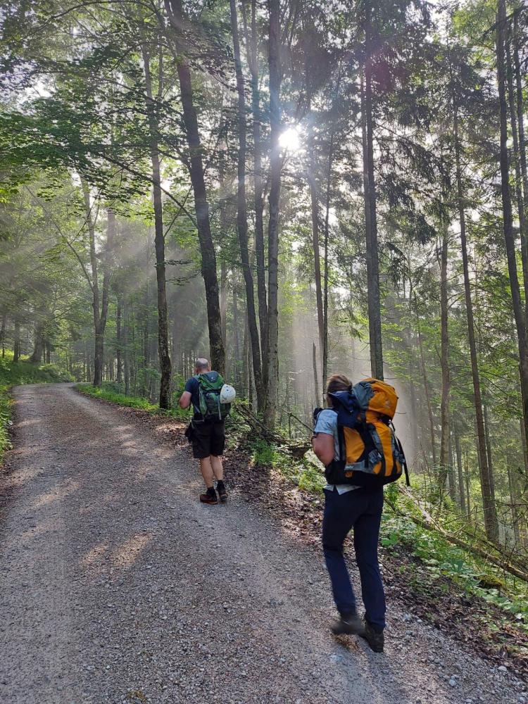 Tieflimauer (95 Bildaufrufe)