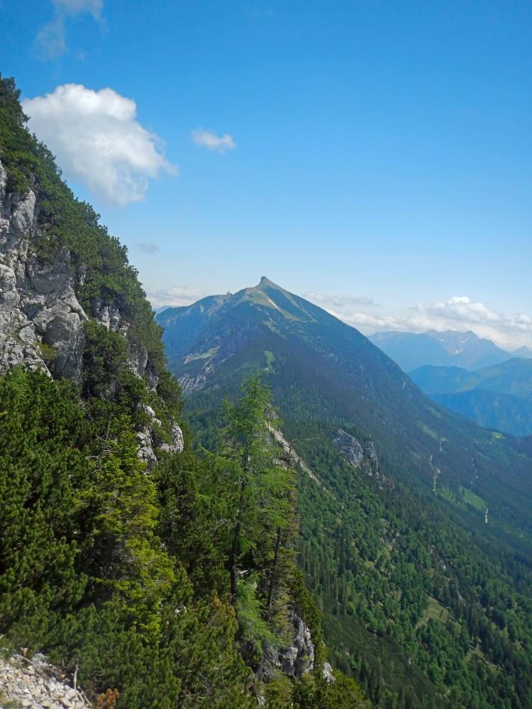 Tieflimauer (86 Bildaufrufe)