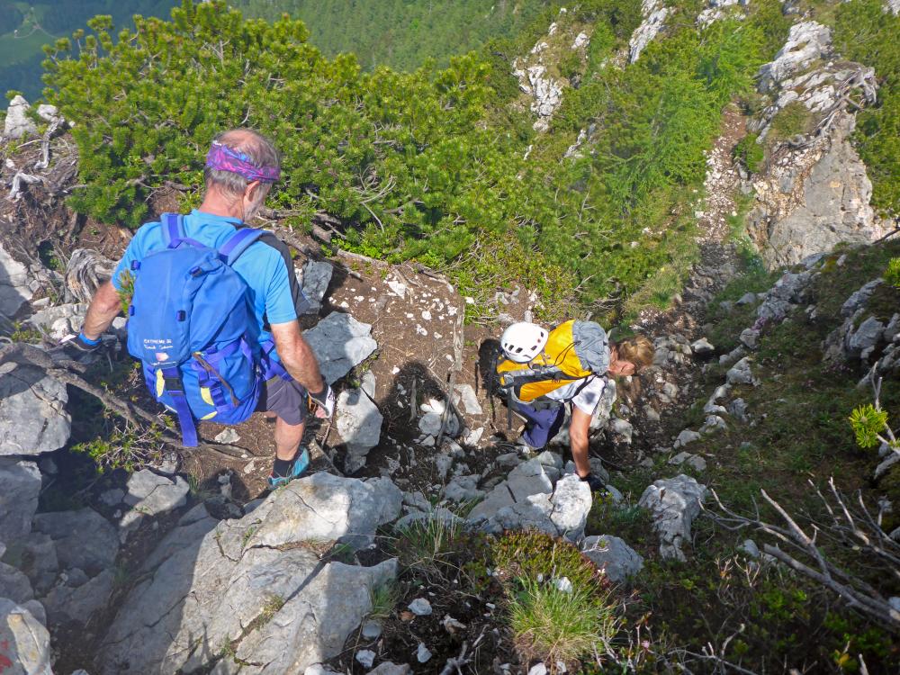 Tieflimauer (92 Bildaufrufe)