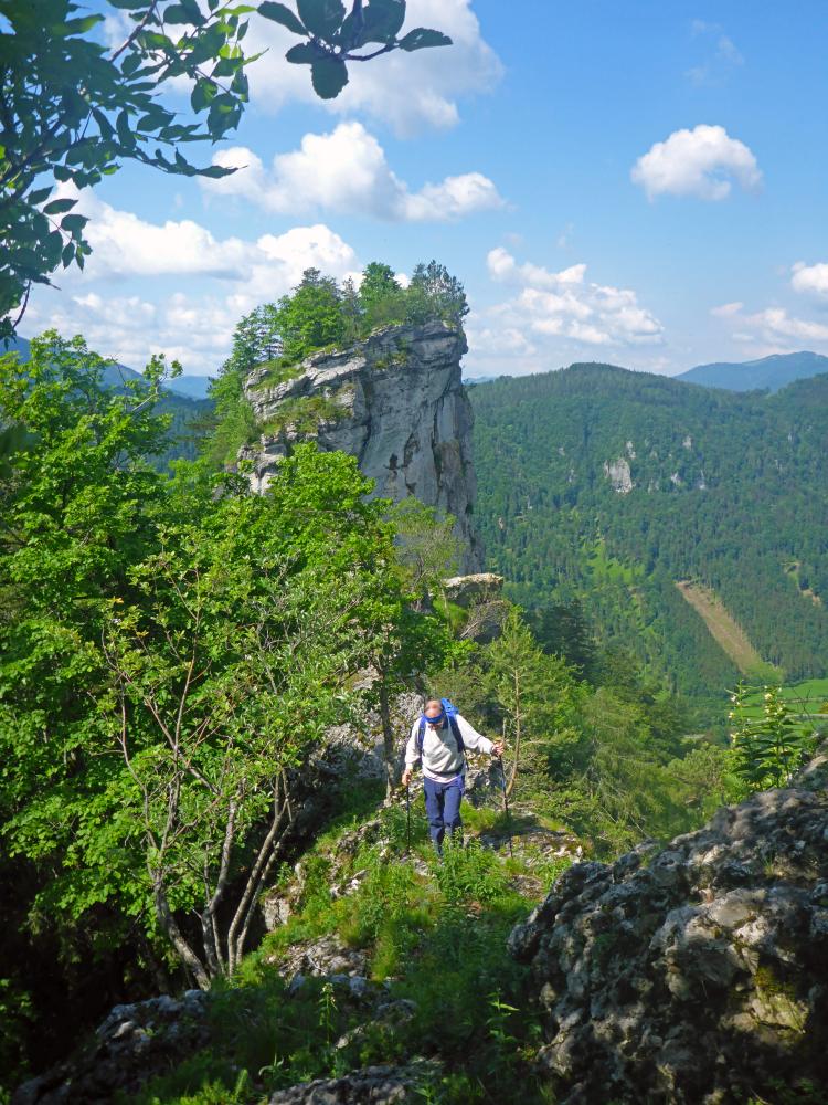 Hinteralm (95 Bildaufrufe)