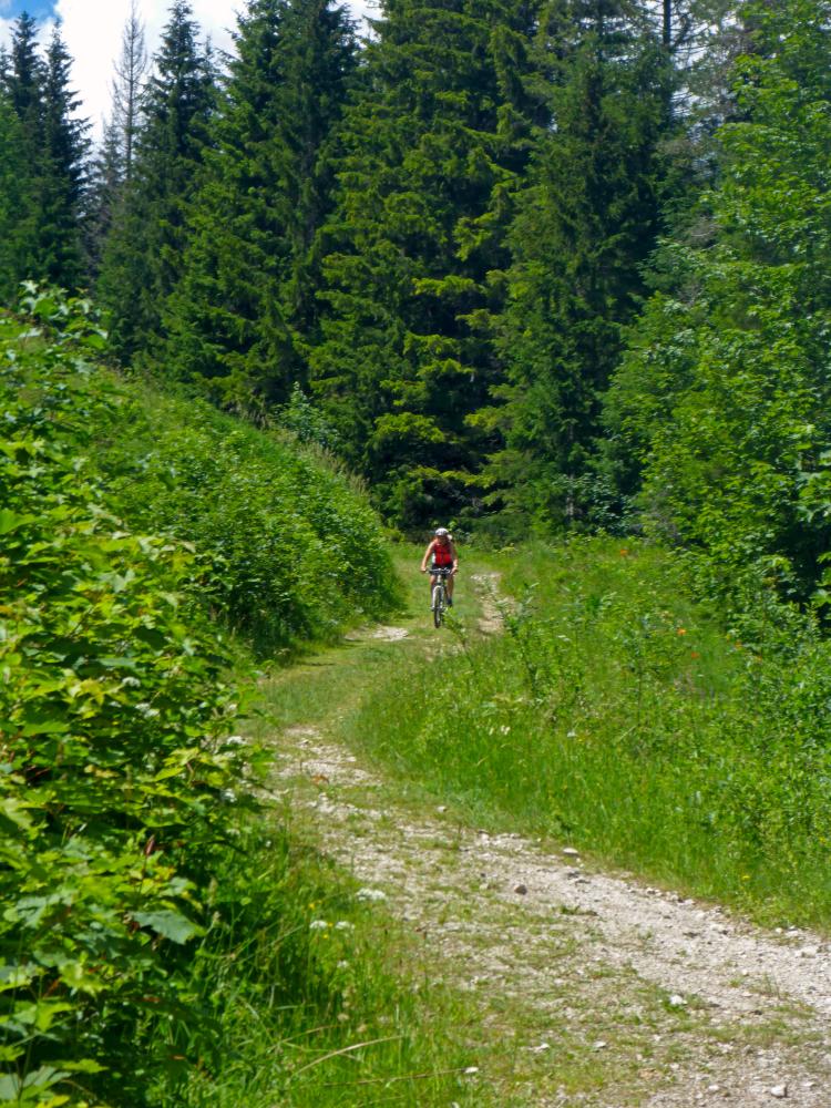 Bürgeralpe (57 Bildaufrufe)