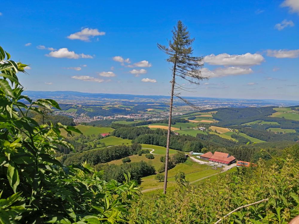Steinwandleiten (75 Bildaufrufe)
