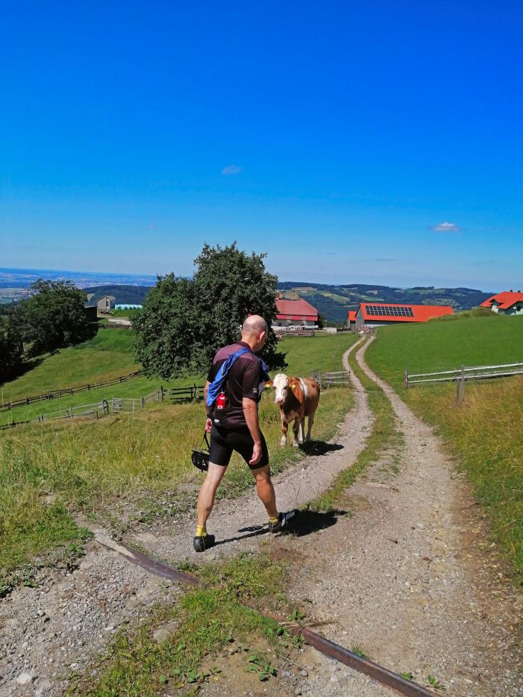 Steinwandleiten (57 Bildaufrufe)