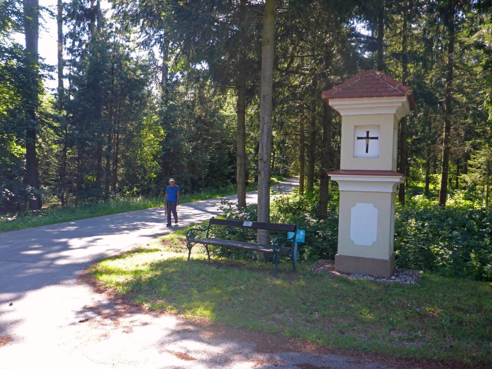 Silberne Birn (66 Bildaufrufe)