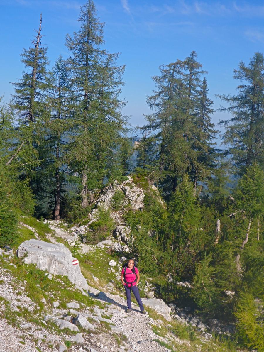 Koschutnikturm (78 Bildaufrufe)