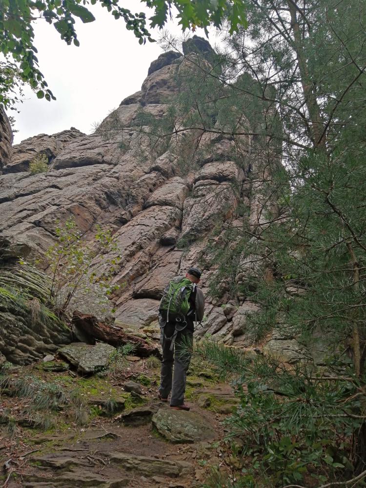 Mühlberg (55 Bildaufrufe)