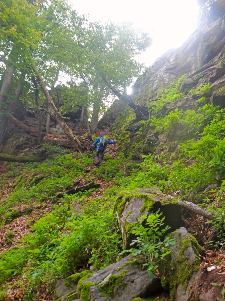 Sandl (73 Bildaufrufe)