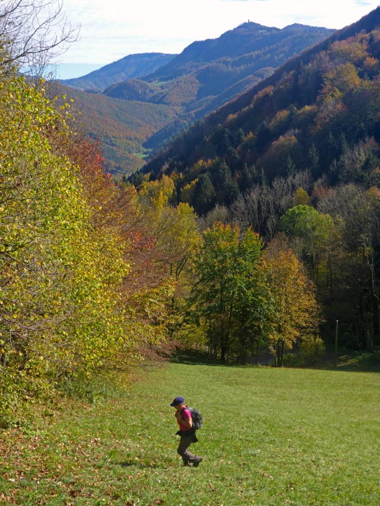 Lorenzipechkogel (57 Bildaufrufe)