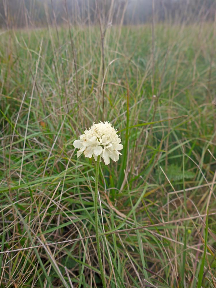 Hundsheimer Berge (45 Bildaufrufe)