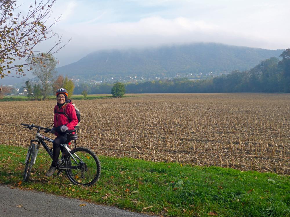 Hundsheimer Berge (43 Bildaufrufe)