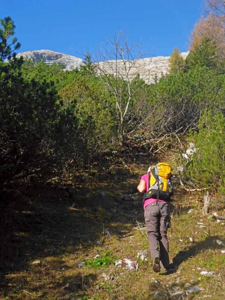 Planspitze (102 Bildaufrufe)