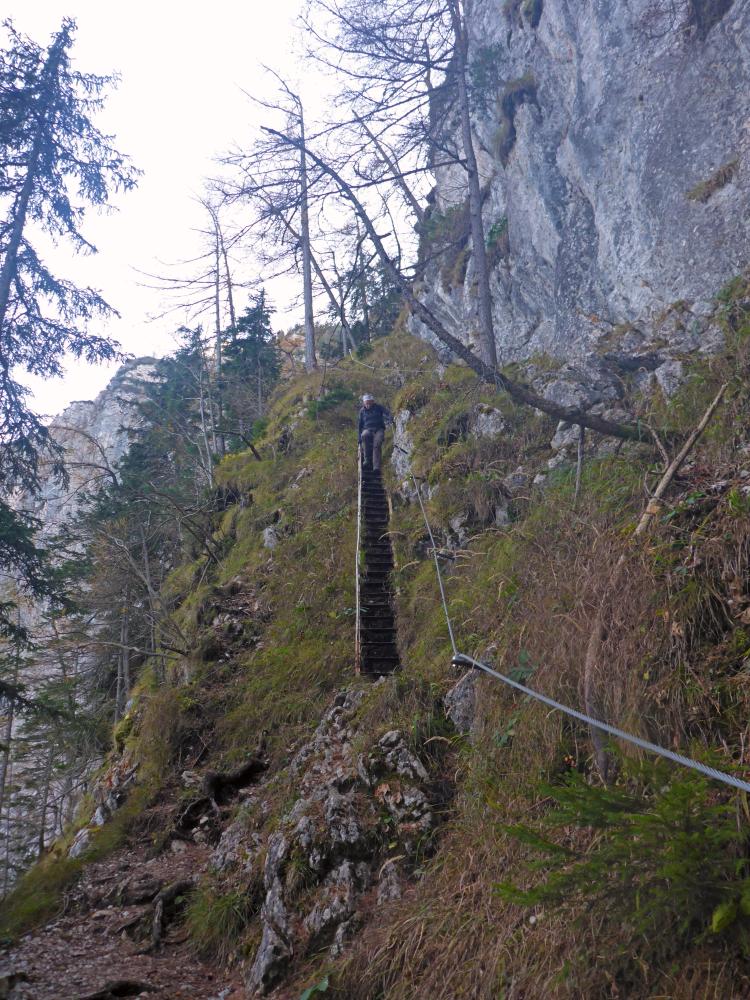 Planspitze (75 Bildaufrufe)