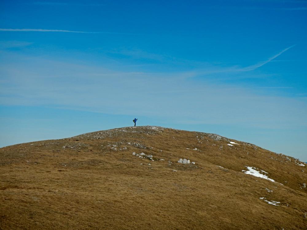 Hochweichsel (80 Bildaufrufe)