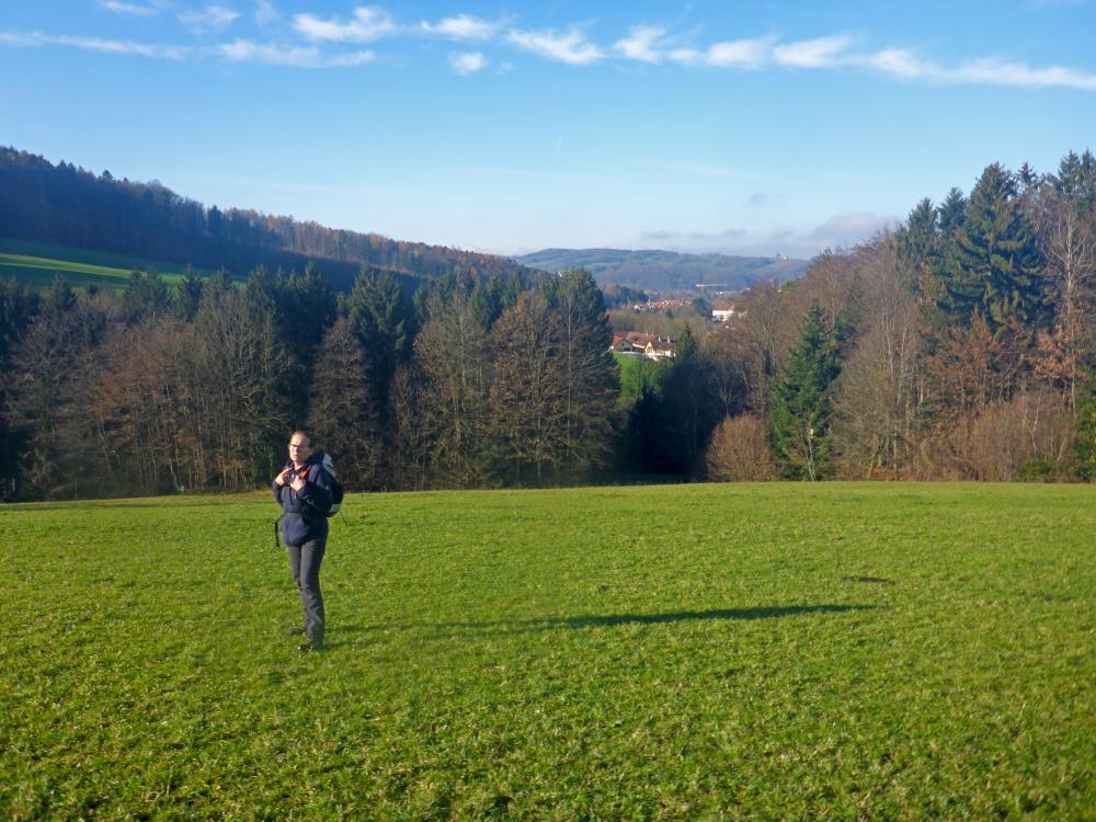 Steinwandleiten (47 Bildaufrufe)
