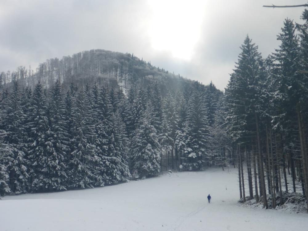 Hohenstein (85 Bildaufrufe)