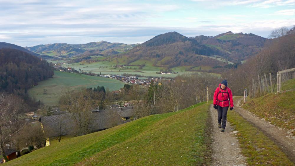 Gaisbühel (67 Bildaufrufe)