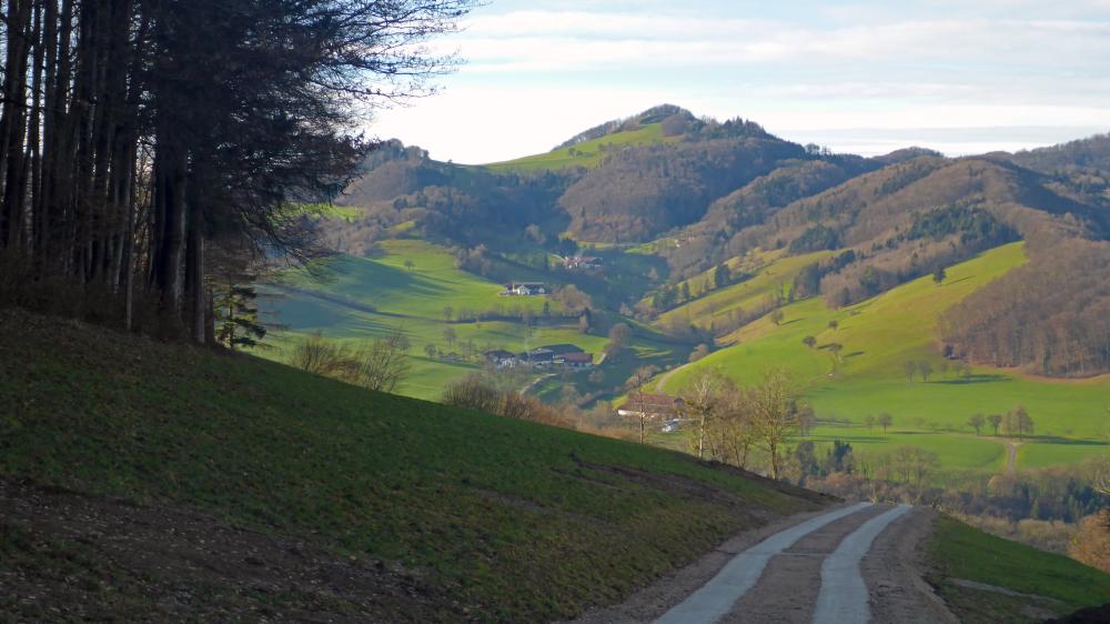 Gaisbühel (55 Bildaufrufe)