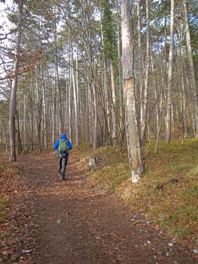Jubiläumskreuz (38 Bildaufrufe)