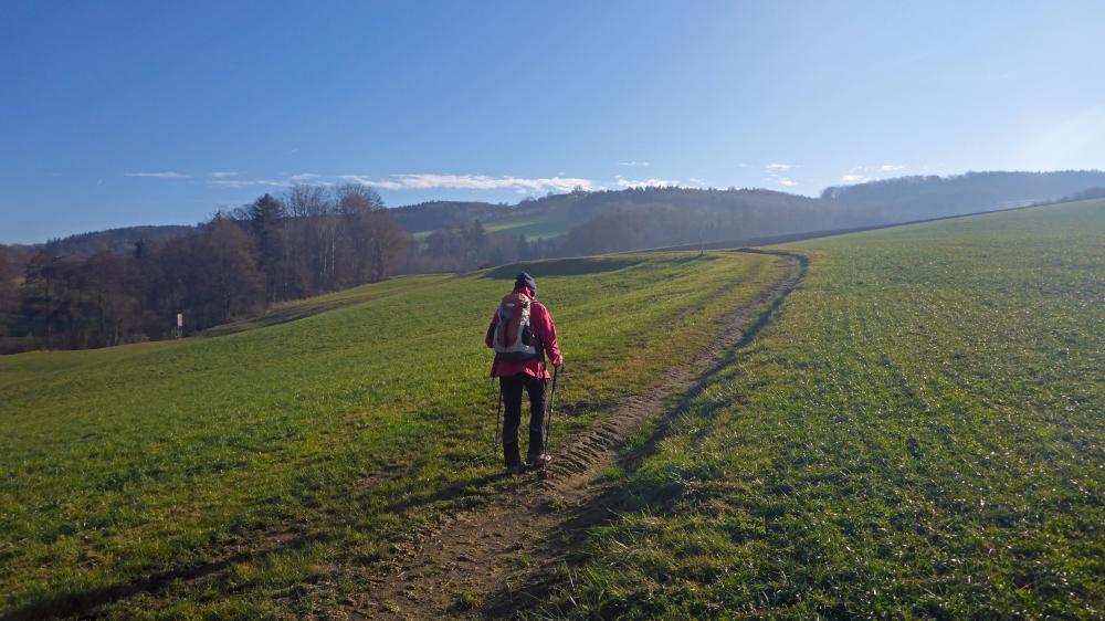 Kuhberg (58 Bildaufrufe)