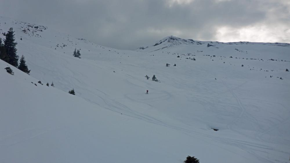 Kalkbretterkopf (77 Bildaufrufe)