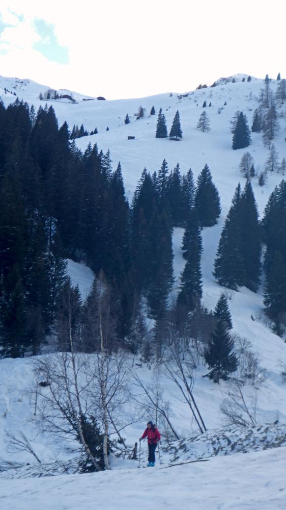 Kalkbretterkopf (66 Bildaufrufe)