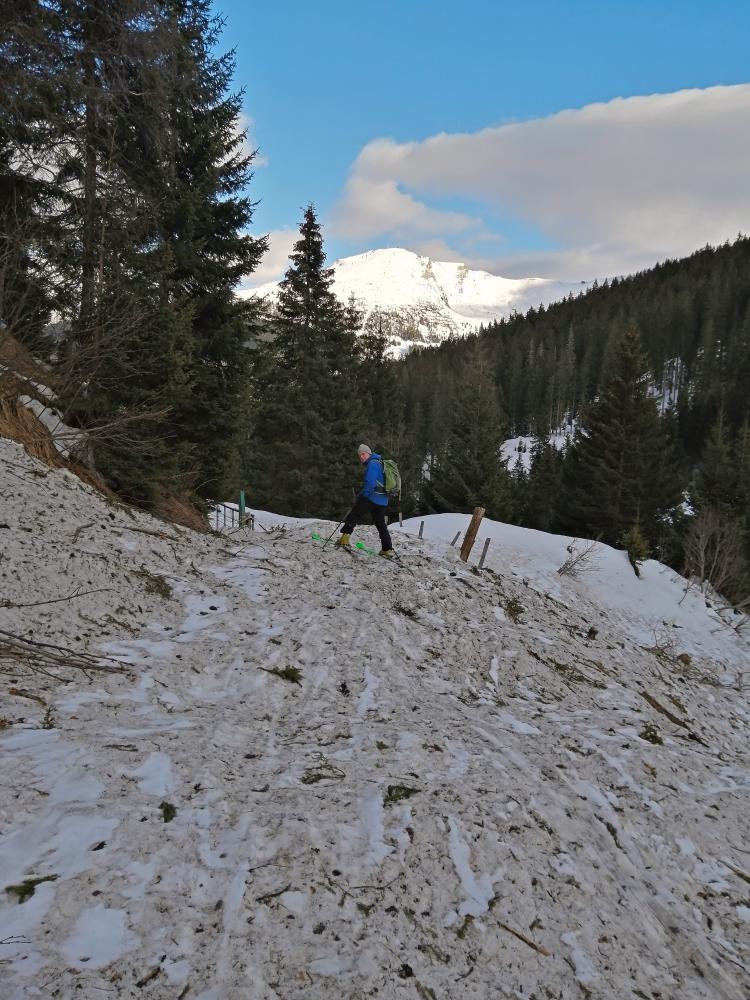 Kalkbretterkopf (71 Bildaufrufe)