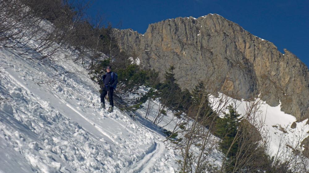 Stadelstein (83 Bildaufrufe)