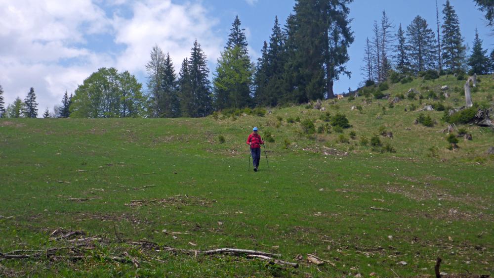 Garschkogel (61 Bildaufrufe)