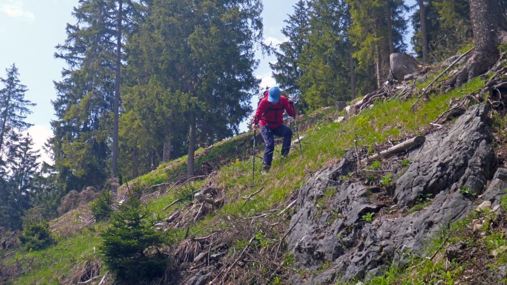 Garschkogel (43 Bildaufrufe)