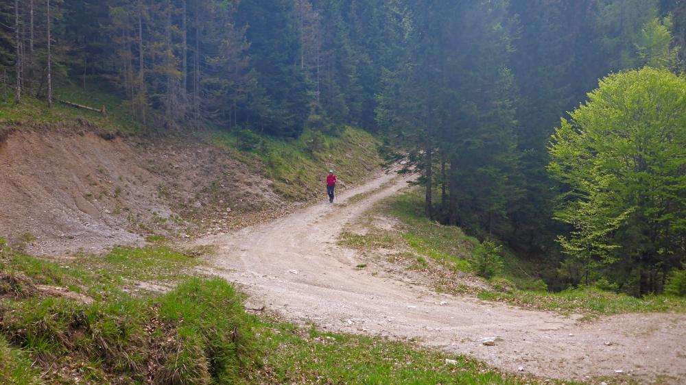 Garschkogel (69 Bildaufrufe)