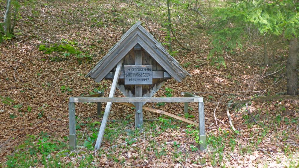 Garschkogel (67 Bildaufrufe)