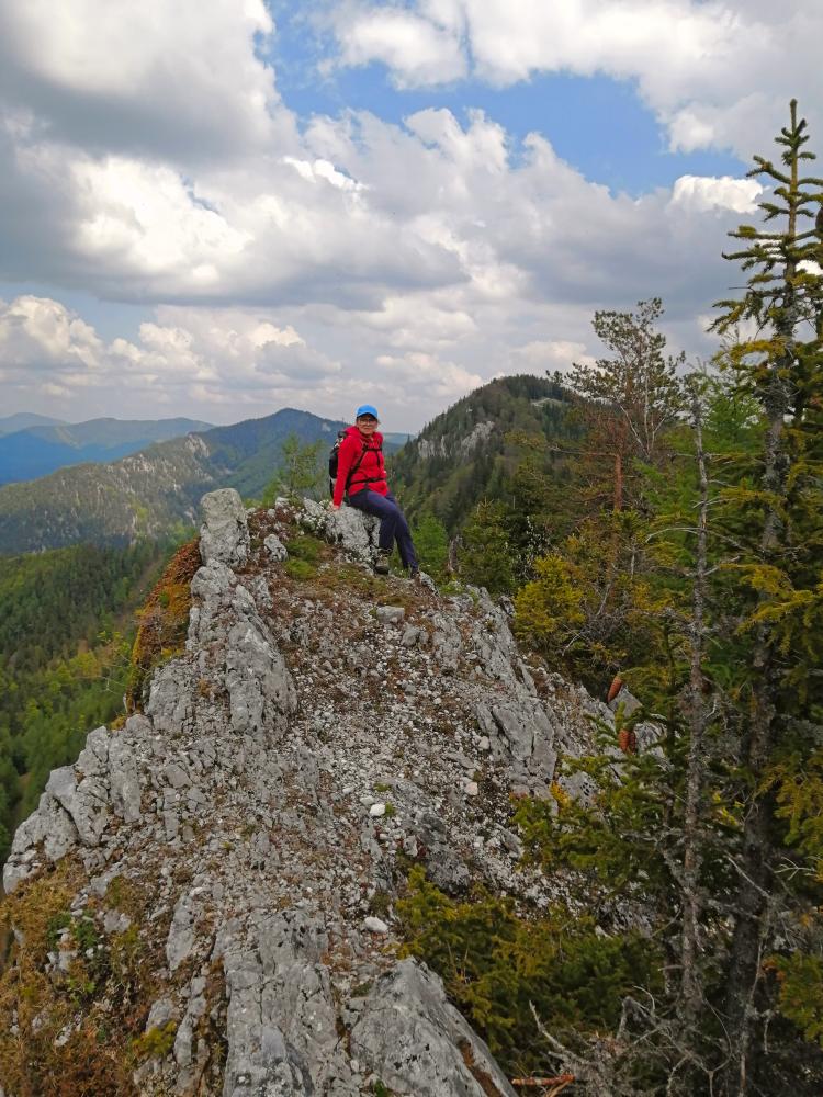 Garschkogel (65 Bildaufrufe)