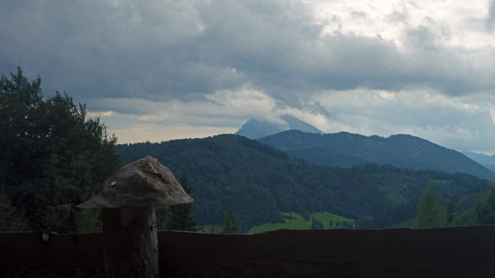 Gromann (45 Bildaufrufe)